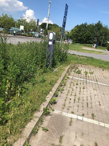 Parkplatz Sportpark Timmendorf Gallery - Germany