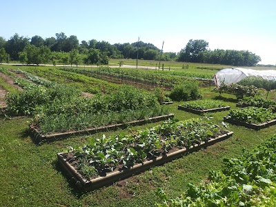 Rocky Suns Farm