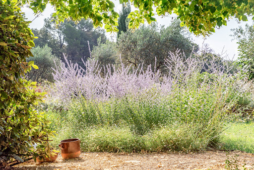 Photo de Boyer Jardin & Piscine à Visan (84820)