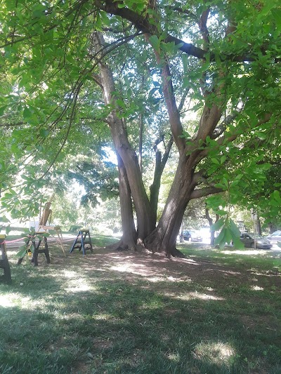 Olmsted Linear Park