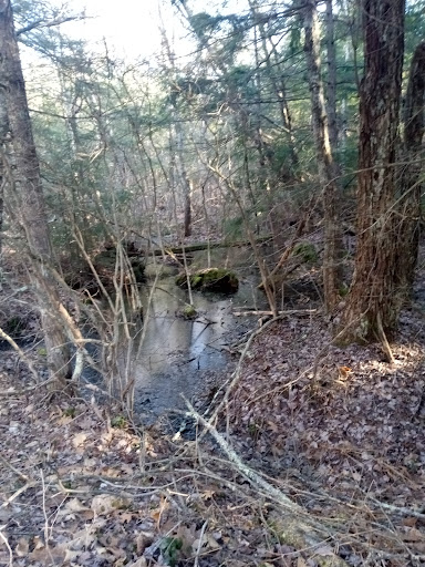 Rutland Park Area - Thumbnail
