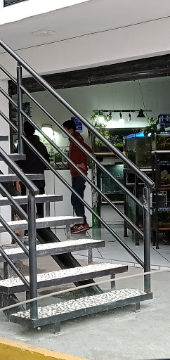 Acuario Ambientz
