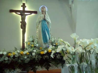 Photos of Parrocchia Stella Maris