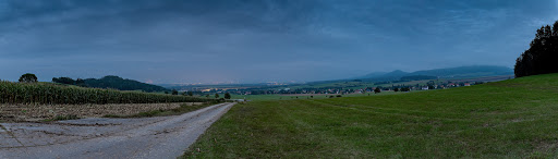 Steinberg - Visual