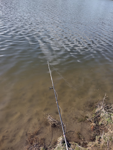 Sanger Pit - Visual
