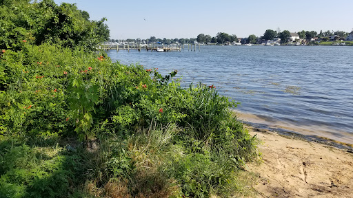 Dark Head Creek Park