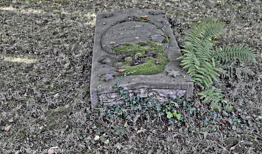 Friedhof Bürgel - Visual