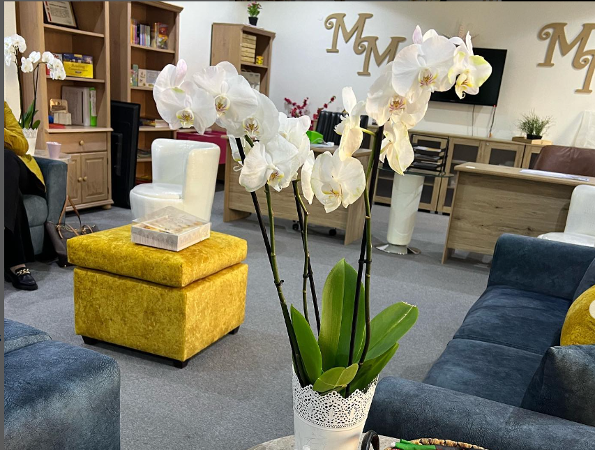 Master Minds Preschool & Kindergarten