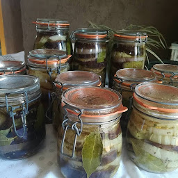 Photo n°7 de Amap en Provence Verte à Brignoles (Association agricole)