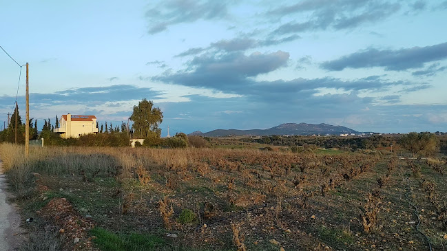 Αριθμός τηλεφώνου Varaba Country House