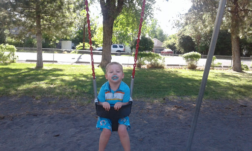 Wiard Park - Visual