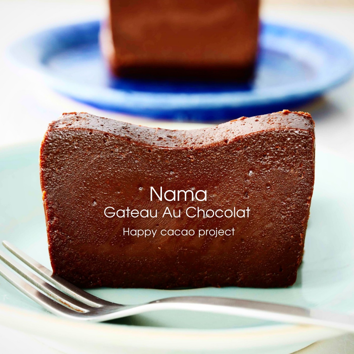 オンライン販売店 Nama Gâteau Au Chocolat ( ナマガトーショコラ )