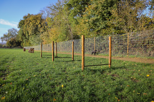 Paw Paddock - Moundsmere Gallery - United Kingdom