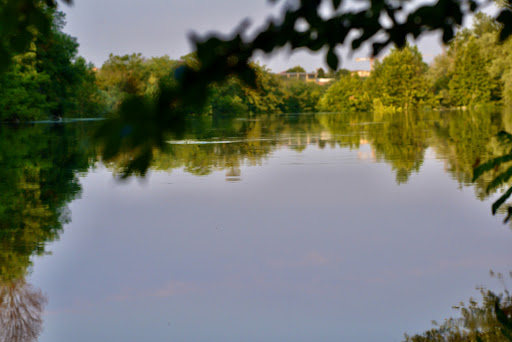 La palada - Thumbnail