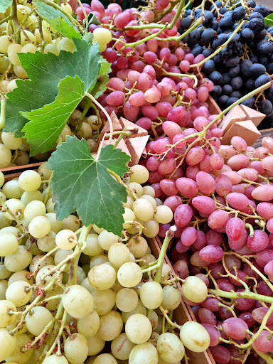 Fruttella - Visual
