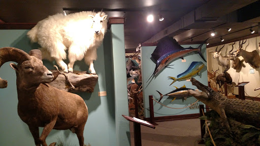 The Children’s Museum of Northeast Montana - Thumbnail