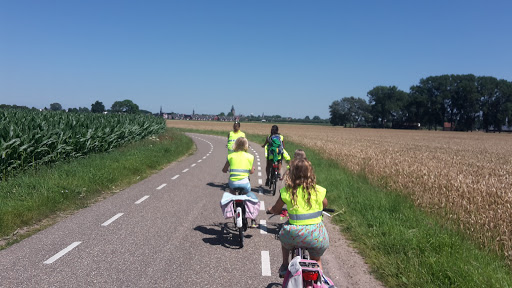 Xenonjan.nl - Thumbnail