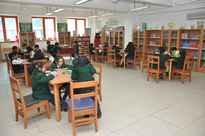 DPS Library 