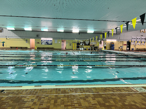 Dalplex