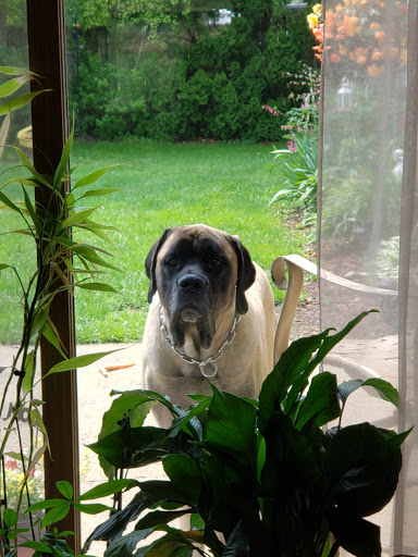 Oak Creek Veterinary Care - Thumbnail