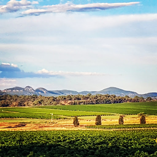 De Beaurepaire Wines