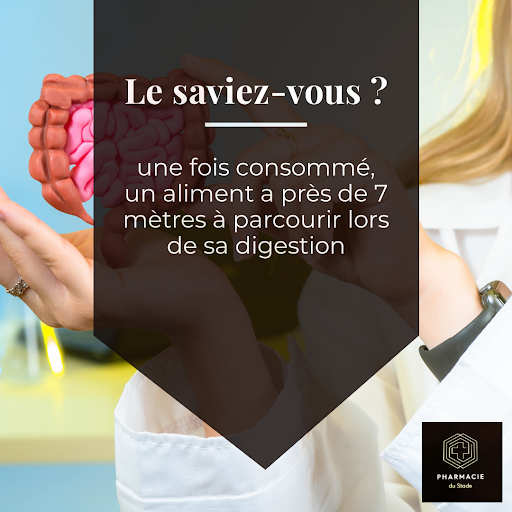 Œsophage, estomac, intestin grêle, gros intestin… le système #digestif s’étend de la bouche à l’anus.

👉 L'#aliment met plus ou moins de temps selon le transit de chacun. Le plus impressionnant est sûrement le petit intestin, aussi appelé intestin grêle, avec ses près de 6 mètres de long.

#santé