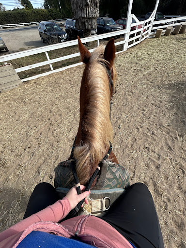 Mystic Canyon Stable - Thumbnail