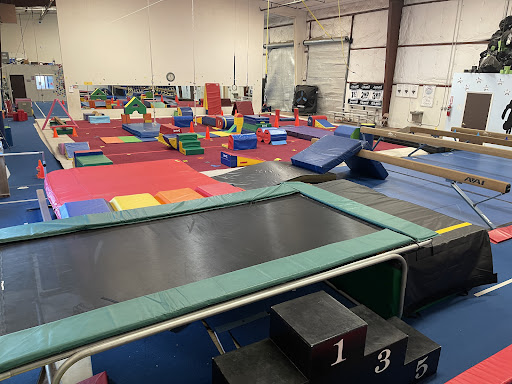 Mendocino Starz Gymnastics
