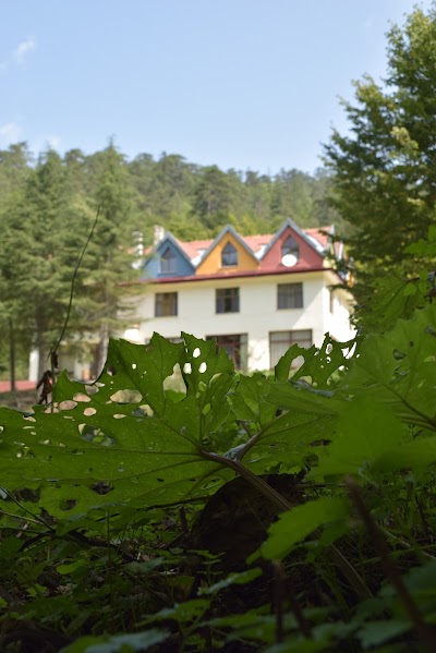 Mengen - Yenice Orman Evi