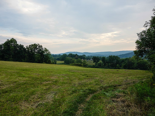 Appalachian Trail at Hammersley Ridge - Thumbnail