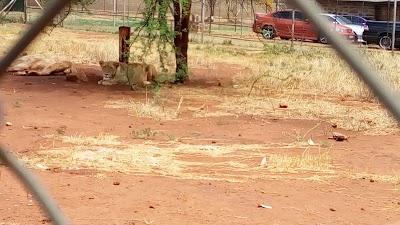 Photos of Predators Rock Bush Lodge