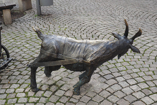 Zeitzer Bronzeziege - Visual