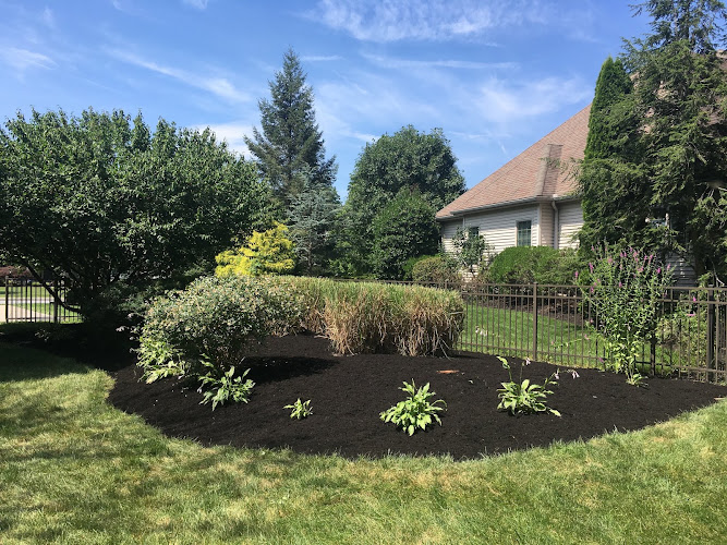 Mitchell's Landscaping Company