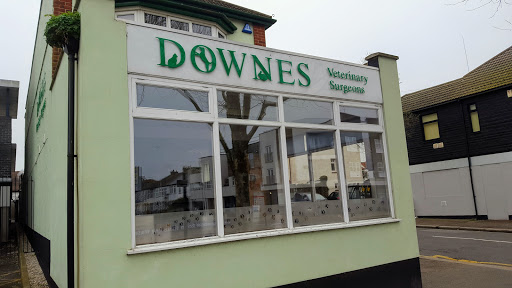 Medivet Leigh-on-Sea London Rd - Downes Veterinary Surgeons - Thumbnail