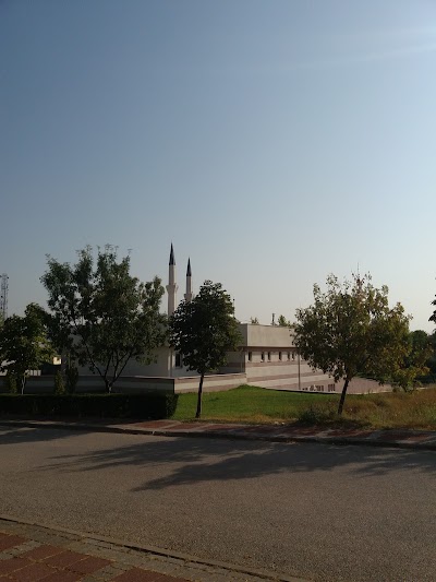 Photos of Osmangazi University Faculty of Education