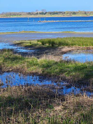 De Punt Wandelroute - Netherlands