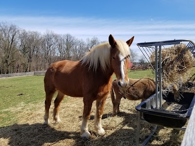 Oxon Cove Park & Oxon Hill Farm