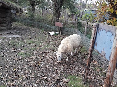 Camping Onder de dijk