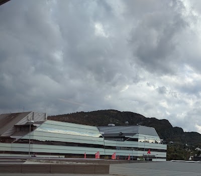 Photos of &Aring;sane Storsenter