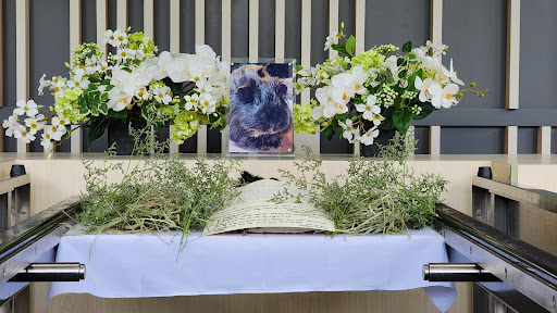 Sanctuary Pet Cremation - Thumbnail