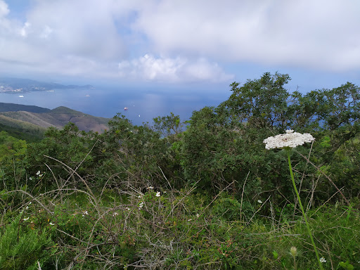 Monte Serra - Visual
