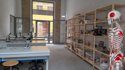 100Lab - Visual