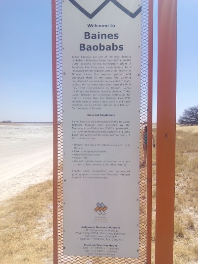 Photos of Baines Baobabs