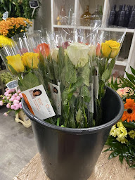 Photo n°2 de Marie-Lucie Battiato - Conseillère Immobilier Capifrance à Lunéville (Agent immobilier)