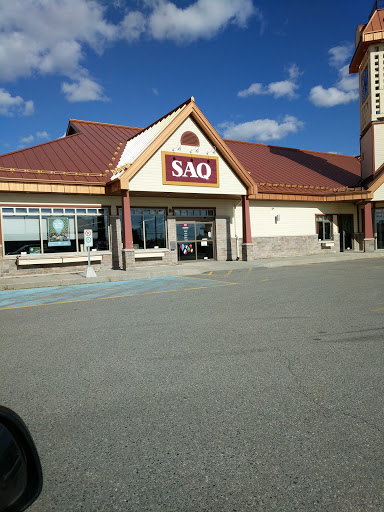 SAQ-Amos - Visual
