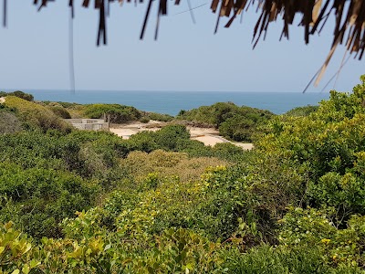 Photos of Wobbegong Diving Center & Nhanombe Lodge