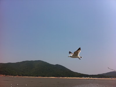 Photos of 하나개해수욕장