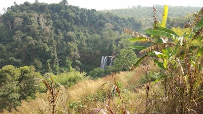 Photos of Tad Tayicsua