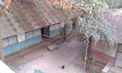 Photos of Durgapur Bali Jame masjid