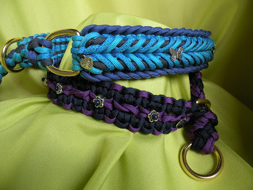 Bijou Chien - Thumbnail